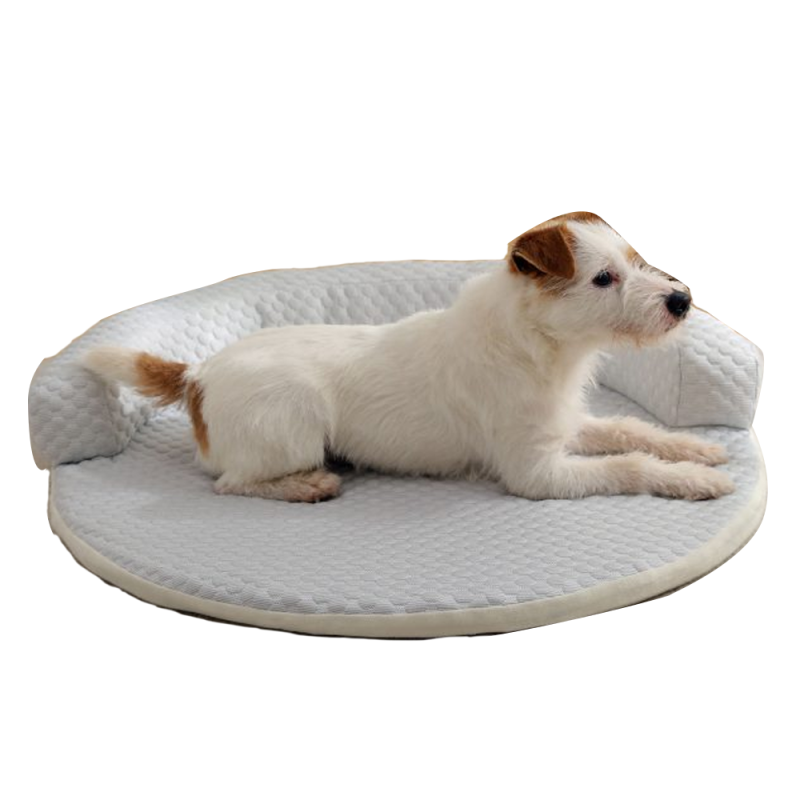 Grey round bolster dog bed with raised back and open front