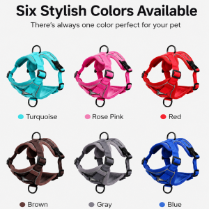 adjustable padded cat harness with breathable mesh