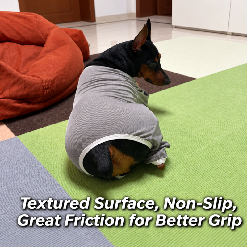 Non-Slip Modular Carpet Tiles for Dogs